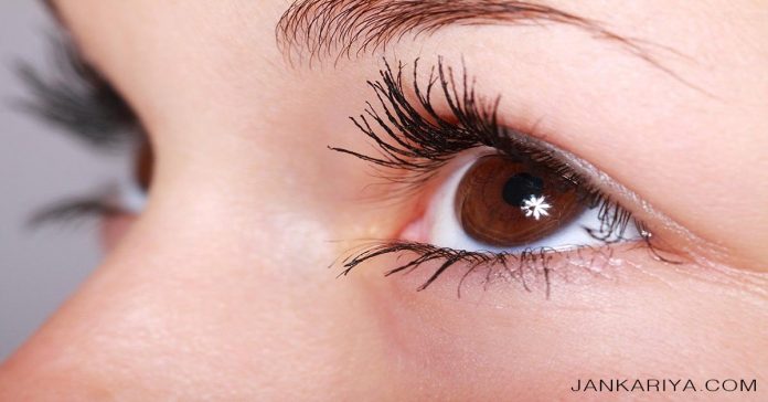 Facts On Eyes In Hindi