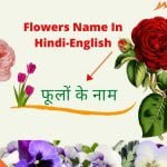 Flowers Name In Hindi
