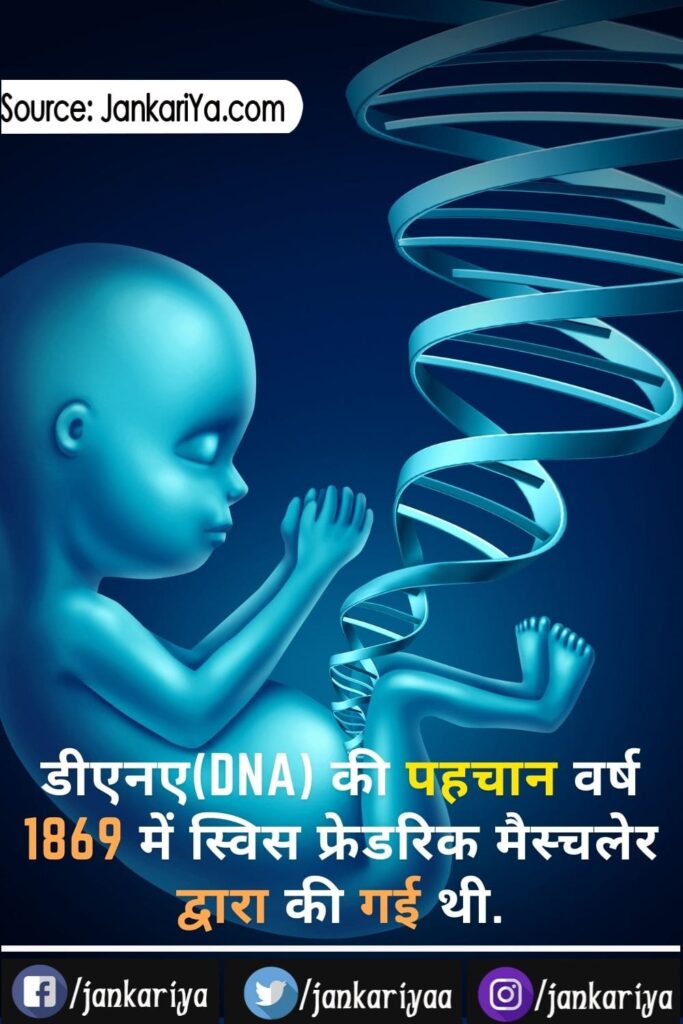 DNA facts
